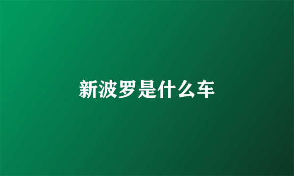 新波罗是什么车