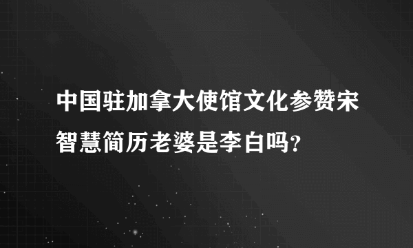 中国驻加拿大使馆文化参赞宋智慧简历老婆是李白吗？