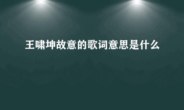 王啸坤故意的歌词意思是什么