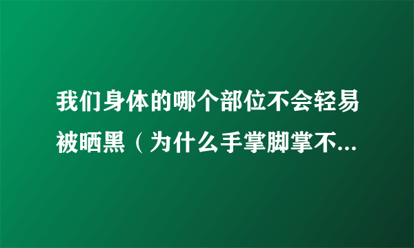 我们身体的哪个部位不会轻易被晒黑（为什么手掌脚掌不容易被晒黑）