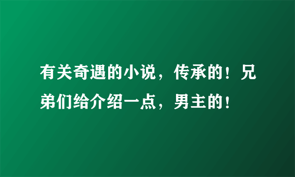 有关奇遇的小说，传承的！兄弟们给介绍一点，男主的！