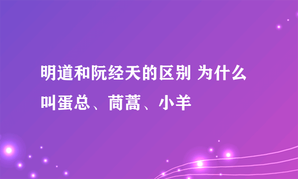 明道和阮经天的区别 为什么叫蛋总、茼蒿、小羊