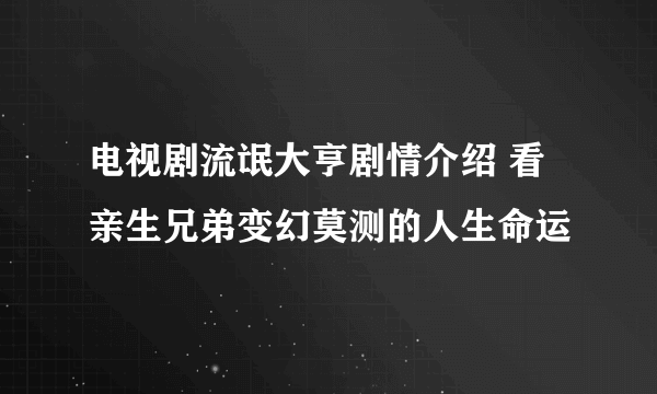 电视剧流氓大亨剧情介绍 看亲生兄弟变幻莫测的人生命运