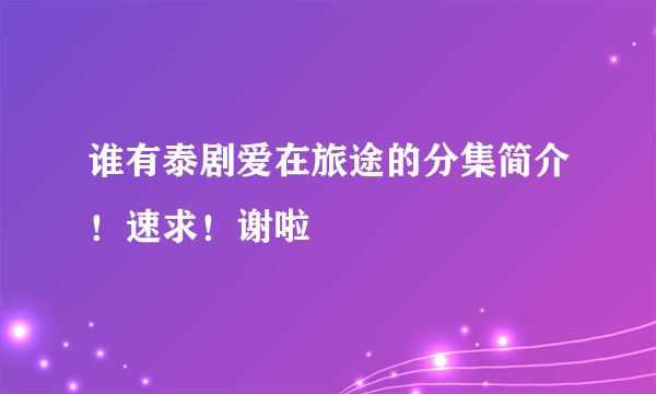 谁有泰剧爱在旅途的分集简介！速求！谢啦