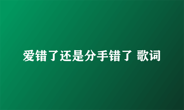 爱错了还是分手错了 歌词