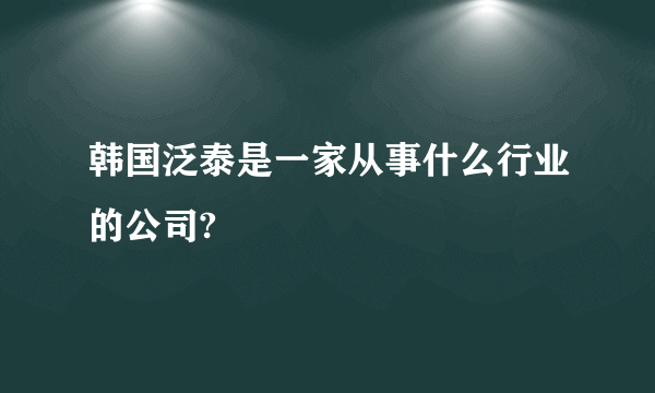 韩国泛泰是一家从事什么行业的公司?