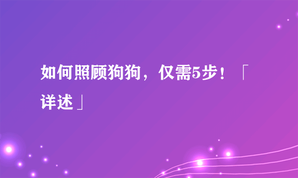 如何照顾狗狗，仅需5步！「详述」