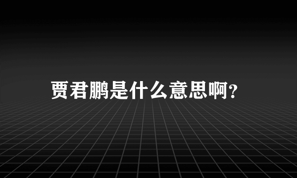 贾君鹏是什么意思啊？