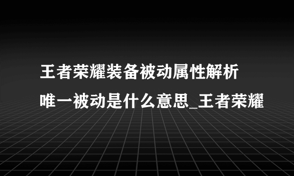 王者荣耀装备被动属性解析 唯一被动是什么意思_王者荣耀