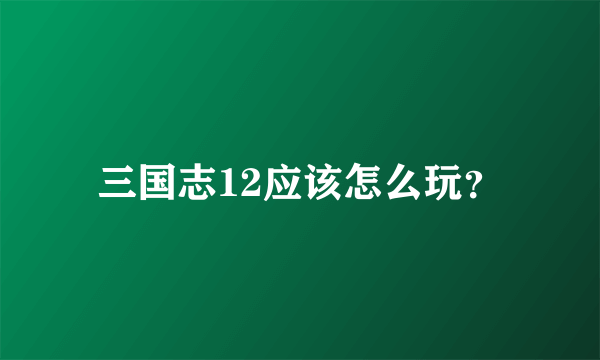 三国志12应该怎么玩？