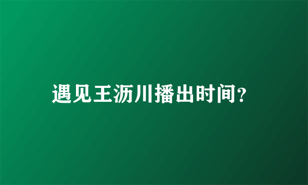 遇见王沥川播出时间？