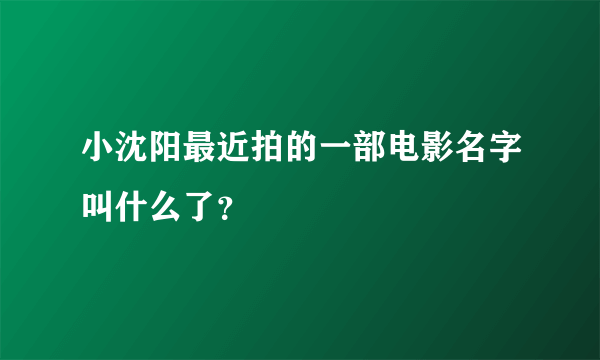 小沈阳最近拍的一部电影名字叫什么了？