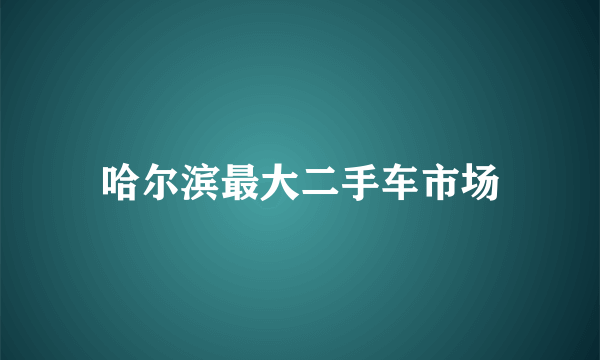 哈尔滨最大二手车市场