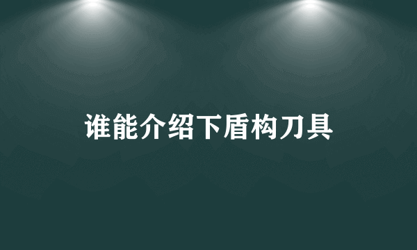 谁能介绍下盾构刀具