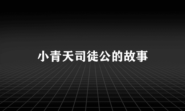 小青天司徒公的故事