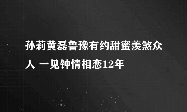 孙莉黄磊鲁豫有约甜蜜羡煞众人 一见钟情相恋12年