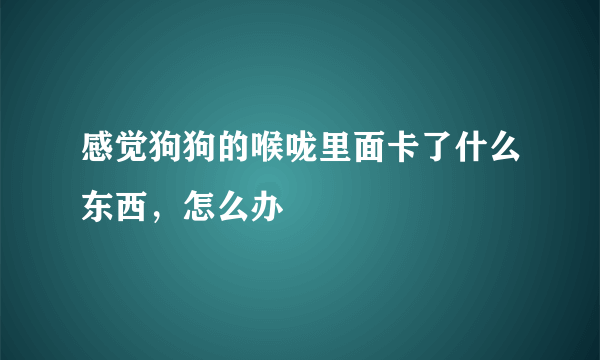 感觉狗狗的喉咙里面卡了什么东西，怎么办