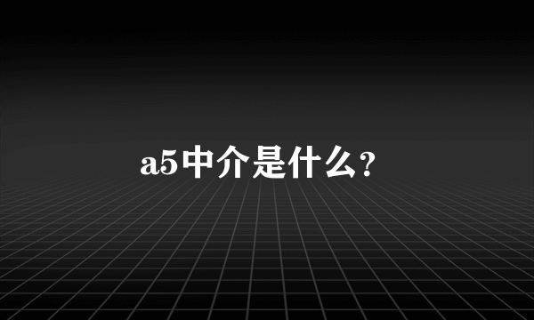 a5中介是什么？