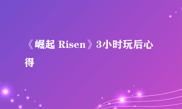 《崛起 Risen》3小时玩后心得