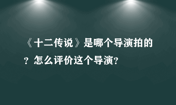 《十二传说》是哪个导演拍的？怎么评价这个导演？