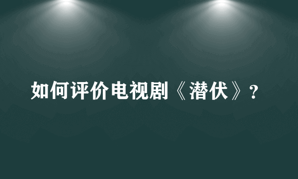 如何评价电视剧《潜伏》？