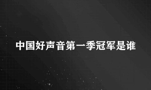 中国好声音第一季冠军是谁