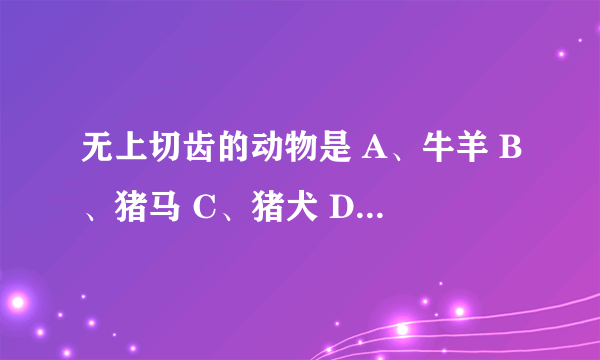 无上切齿的动物是 A、牛羊 B、猪马 C、猪犬 D、牛猪 E、牛马 请帮忙给出正确答案和分析，谢谢！