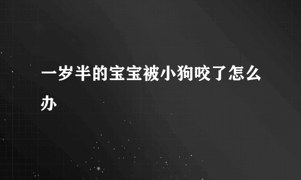 一岁半的宝宝被小狗咬了怎么办