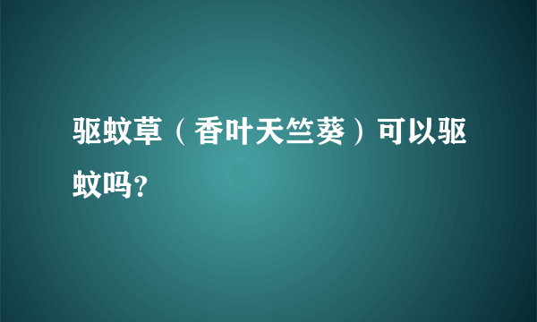 驱蚊草（香叶天竺葵）可以驱蚊吗？