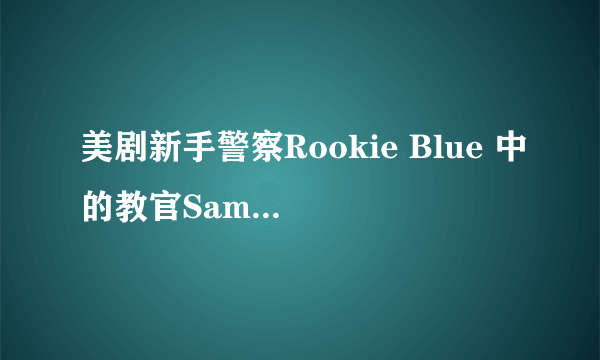 美剧新手警察Rookie Blue 中的教官Sam Swarek的资料