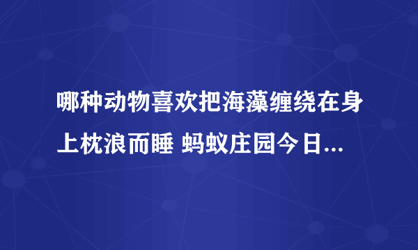 哪种动物喜欢把海藻缠绕在身上枕浪而睡 蚂蚁庄园今日答案5月20日