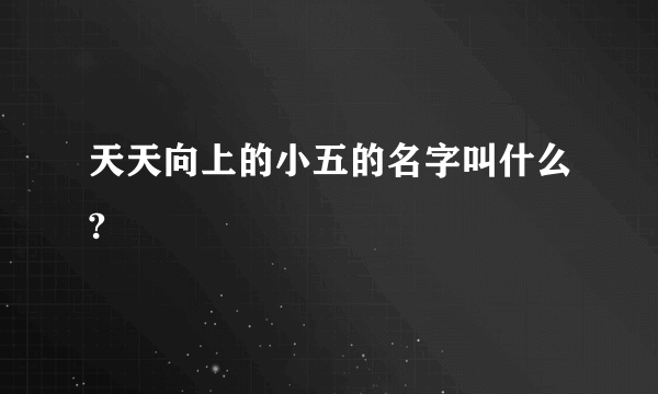 天天向上的小五的名字叫什么?