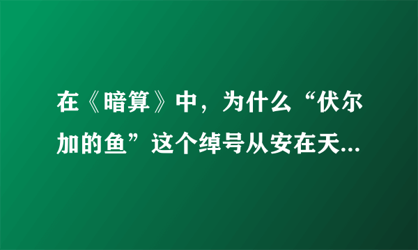 在《暗算》中，为什么“伏尔加的鱼”这个绰号从安在天的口中说出，对黄依依会有那么大的触动？