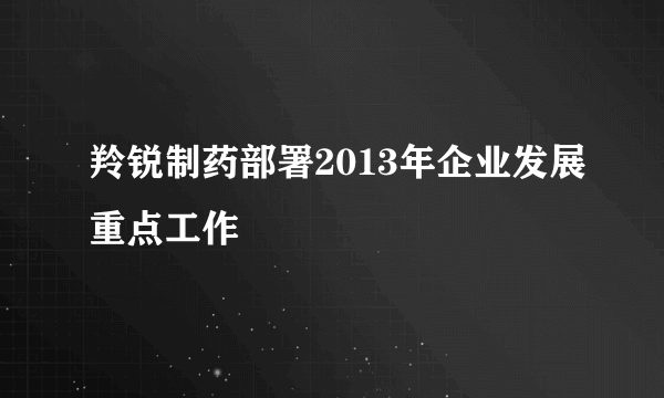 羚锐制药部署2013年企业发展重点工作