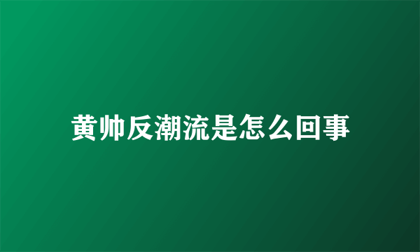 黄帅反潮流是怎么回事