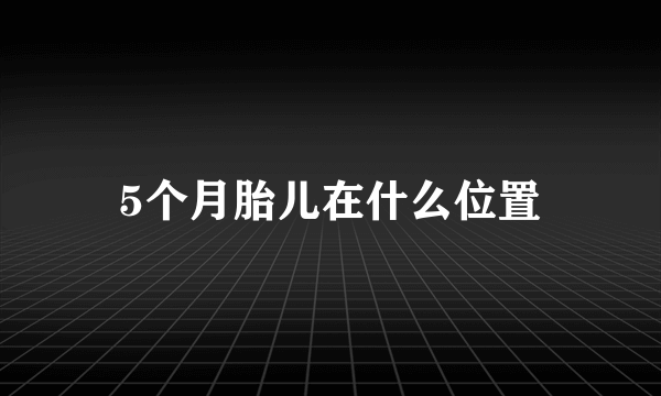 5个月胎儿在什么位置