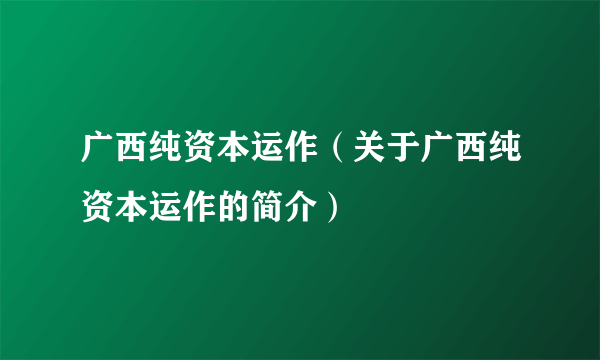 广西纯资本运作（关于广西纯资本运作的简介）