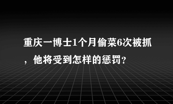 重庆一博士1个月偷菜6次被抓，他将受到怎样的惩罚？