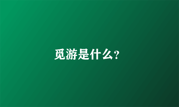 觅游是什么？