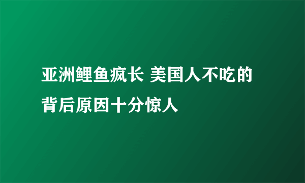 亚洲鲤鱼疯长 美国人不吃的背后原因十分惊人