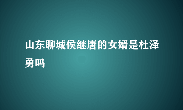 山东聊城侯继唐的女婿是杜泽勇吗