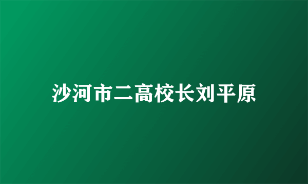 沙河市二高校长刘平原