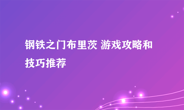 钢铁之门布里茨 游戏攻略和技巧推荐