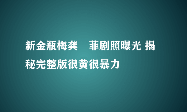 新金瓶梅龚玥菲剧照曝光 揭秘完整版很黄很暴力