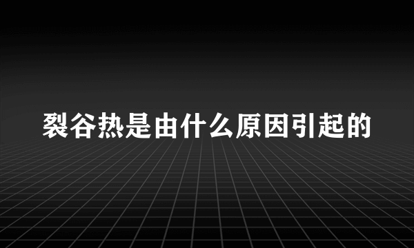 裂谷热是由什么原因引起的