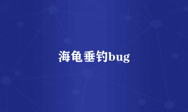 海龟垂钓bug