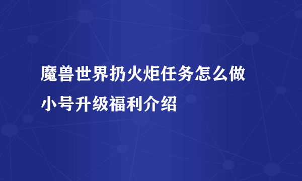 魔兽世界扔火炬任务怎么做 小号升级福利介绍