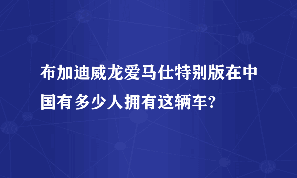 布加迪威龙爱马仕特别版在中国有多少人拥有这辆车?