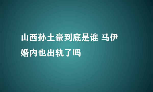 山西孙土豪到底是谁 马伊琍婚内也出轨了吗