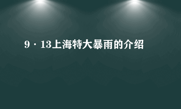 9·13上海特大暴雨的介绍